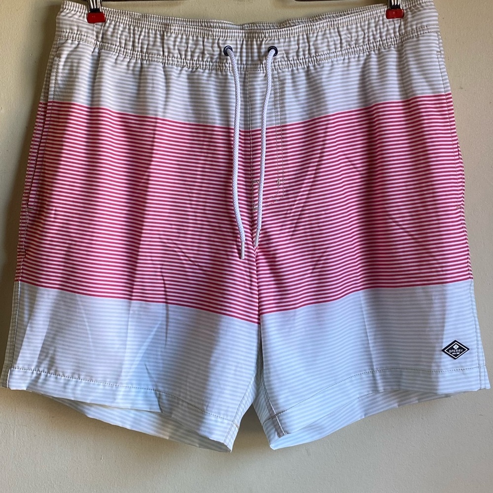 Sperry Volley Stretch Swim Short in Claret Pinstripe
